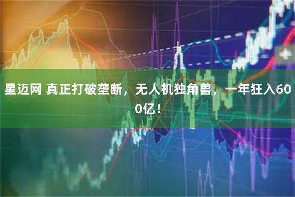 星迈网 真正打破垄断，无人机独角兽，一年狂入600亿！