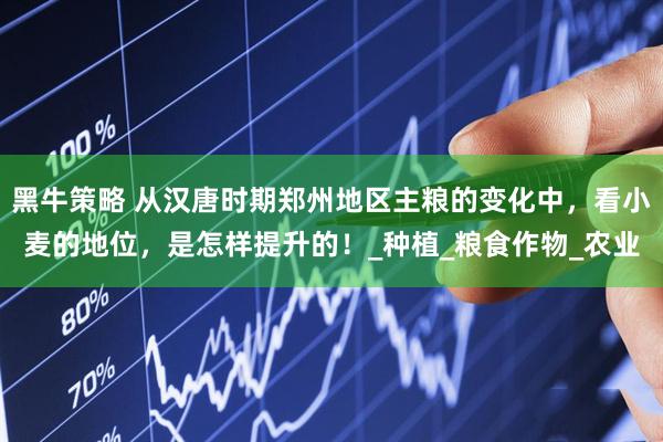 黑牛策略 从汉唐时期郑州地区主粮的变化中，看小麦的地位，是怎样提升的！_种植_粮食作物_农业
